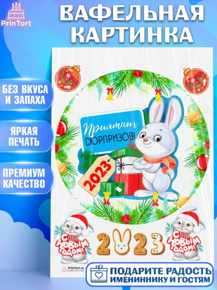 Вафельная картинка, Новый год, Девочка, арт. PT207030