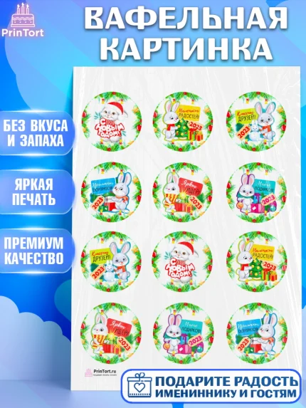 Вафельная картинка, Новый год, Девочка, арт. PT207034