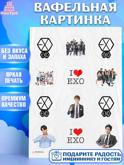 Вафельная картинка, EXO, Девочка, День рождения, арт. PT207080