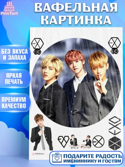 Вафельная картинка, EXO, Девочка, День рождения, арт. PT207093