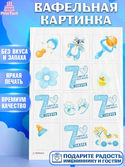 Вафельная картинка, Мальчику 7 месяцев, Мальчик, 7 месяцев, День рождения, арт. PT208091