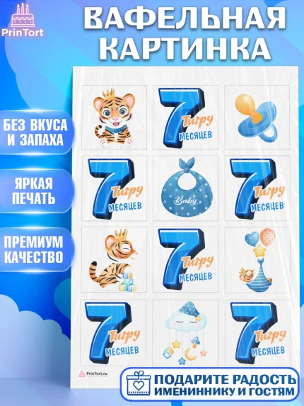 Вафельная картинка, Мальчику 7 месяцев, Мальчик, 7 месяцев, День рождения, арт. PT208103