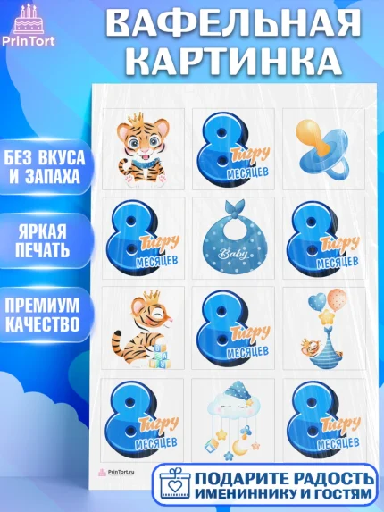 Вафельная картинка, Мальчику 8 месяцев, Мальчик, 8 месяцев, День рождения, арт. PT208123
