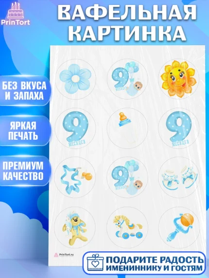 Вафельная картинка, Мальчику 9 месяцев, Мальчик, 9 месяцев, День рождения, арт. PT208132