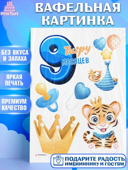Вафельная картинка, Мальчику 9 месяцев, Мальчик, 9 месяцев, День рождения, арт. PT208137