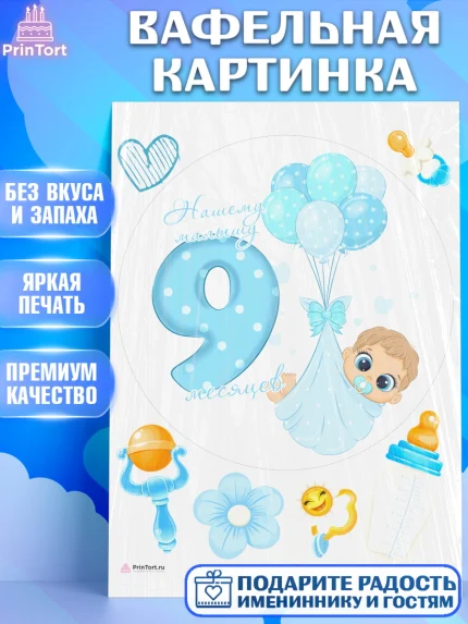 Вафельная картинка, Мальчику 9 месяцев, Мальчик, 9 месяцев, День рождения, арт. PT208138
