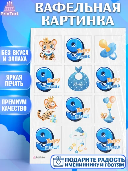 Вафельная картинка, Мальчику 9 месяцев, Мальчик, 9 месяцев, День рождения, арт. PT208143