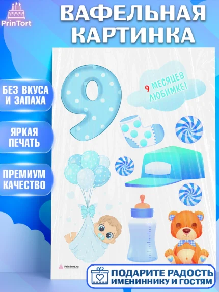 Вафельная картинка, Мальчику 9 месяцев, Мальчик, 9 месяцев, День рождения, арт. PT208145