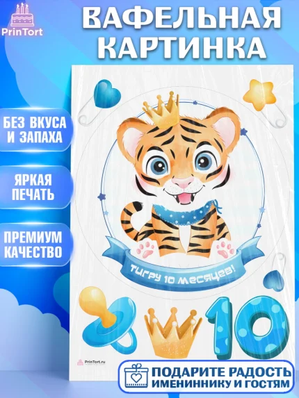 Вафельная картинка, Мальчику 10 мес, Мальчик, 10 месяцев, День рождения, арт. PT208154