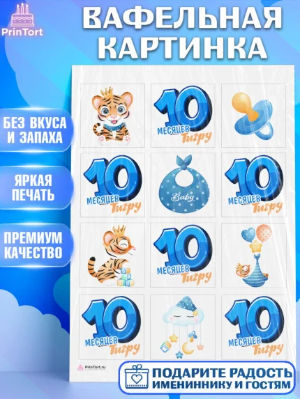 Вафельная картинка, Мальчику 10 мес, Мальчик, 10 месяцев, День рождения, арт. PT208162