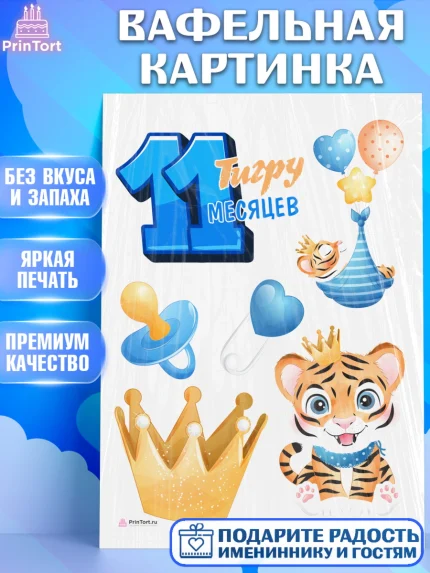 Вафельная картинка, Мальчику 11 мес, Мальчик, 11 месяцев, День рождения, арт. PT208176