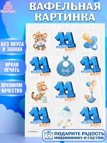 Вафельная картинка, Мальчику 11 мес, Мальчик, 11 месяцев, День рождения, арт. PT208182