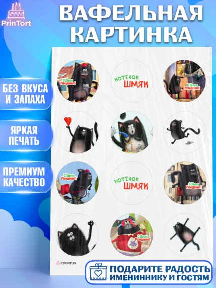 Вафельная картинка, Котёнок Шмяк, Девочка, День рождения, арт. PT208289