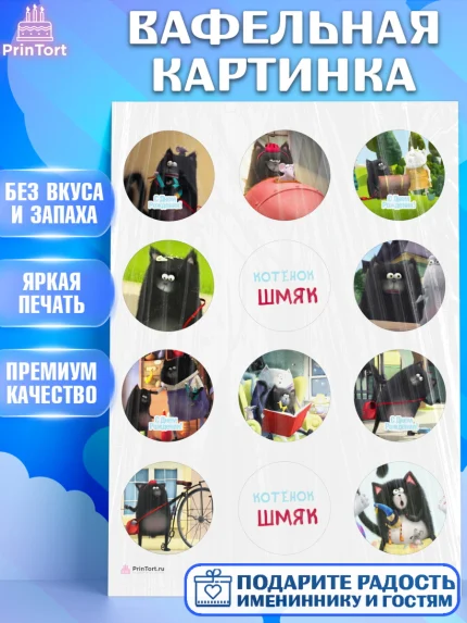 Вафельная картинка, Котёнок Шмяк, Девочка, День рождения, арт. PT208298