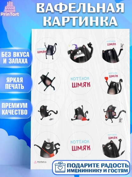 Вафельная картинка, Котёнок Шмяк, Девочка, День рождения, арт. PT208300