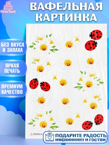 Вафельная картинка, Цветы, Ромашки, Девочка, День рождения, арт. PT208565