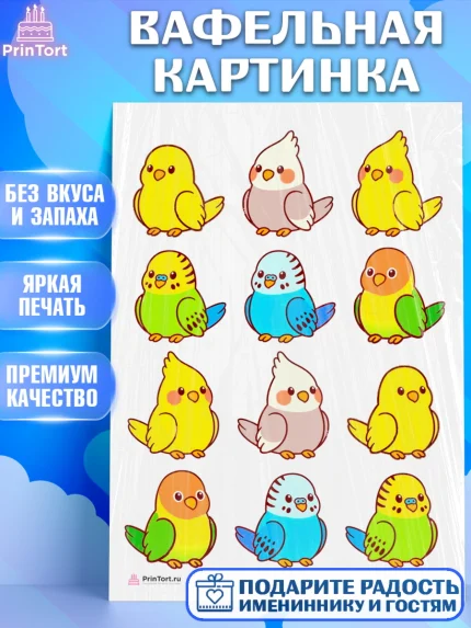 Вафельная картинка, Птички, Попугаи, Девочка, День рождения, арт. PT208571