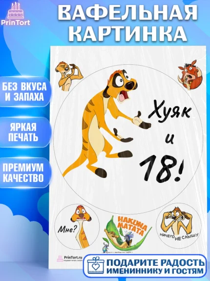Вафельная картинка, Тимон Ху-к, Девушка, 18 лет, День рождения, арт. PT208646