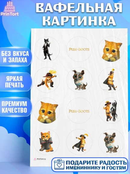 Вафельная картинка, Кот в сапогах, Девочка, День рождения, арт. PT208960