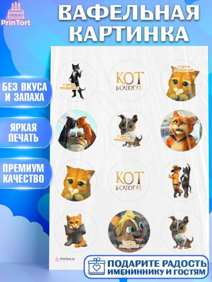 Вафельная картинка, Кот в сапогах, Девочка, День рождения, арт. PT208966