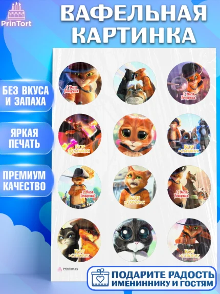 Вафельная картинка, Кот в сапогах, Девочка, День рождения, арт. PT208970