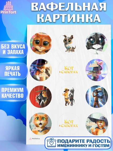 Вафельная картинка, Кот в сапогах, Девочка, День рождения, арт. PT208972