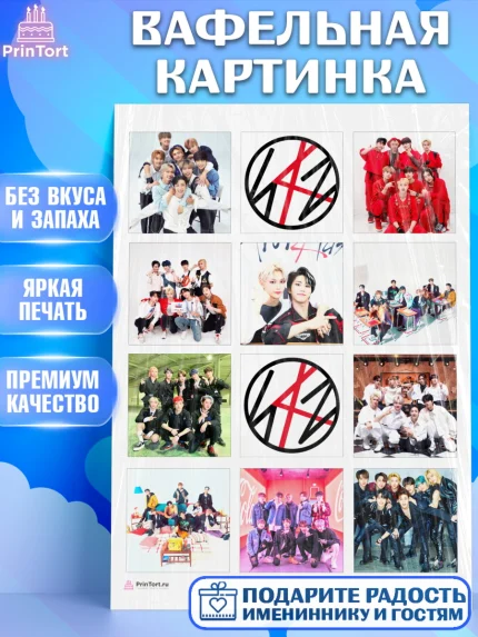 Вафельная картинка, Стрей Кидс, Stray Kids, Девочка, День рождения, арт. PT209168