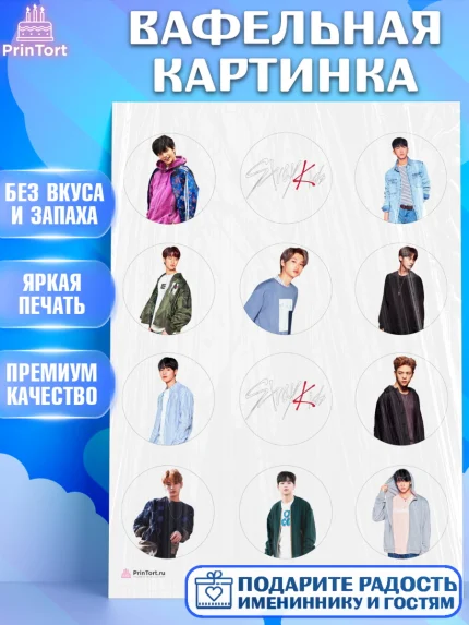 Вафельная картинка, Стрей Кидс, Stray Kids, Девочка, День рождения, арт. PT209169