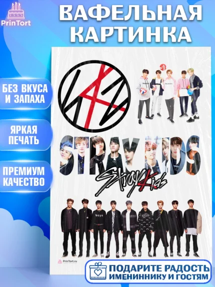 Вафельная картинка, Стрей Кидс, Stray Kids, Девочка, День рождения, арт. PT209170