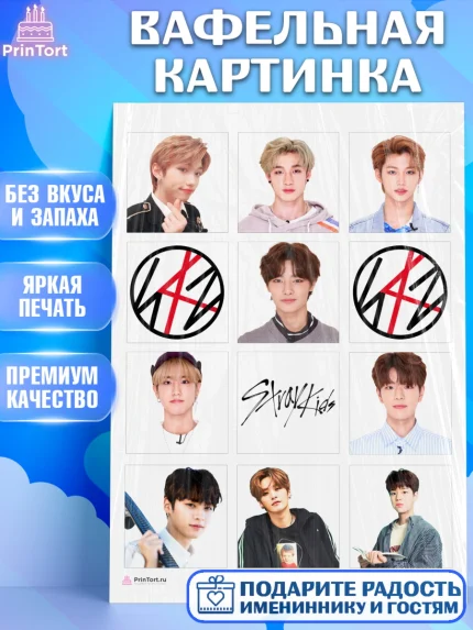 Вафельная картинка, Стрей Кидс, Stray Kids, Девочка, День рождения, арт. PT209173