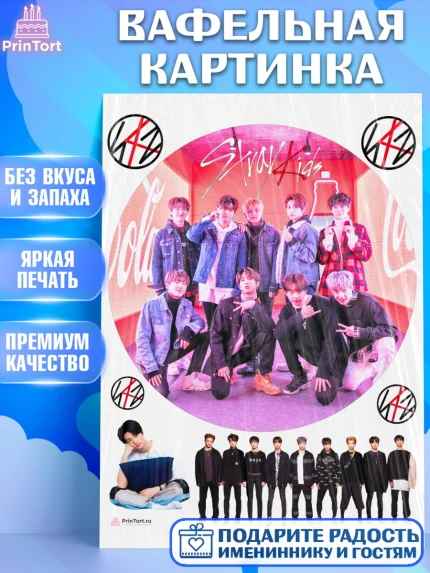 Вафельная картинка, Стрей Кидс, Stray Kids, Девочка, День рождения, арт. PT209176