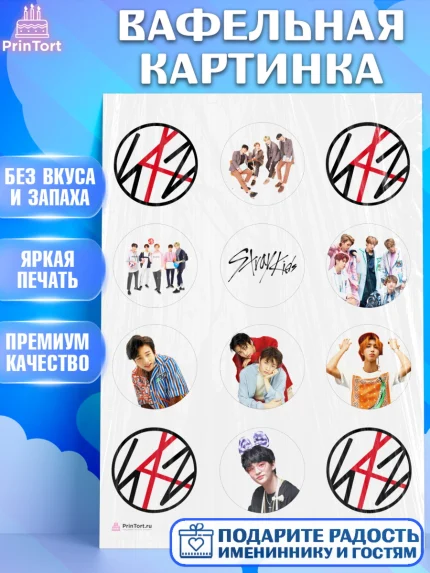 Вафельная картинка, Стрей Кидс, Stray Kids, Девочка, День рождения, арт. PT209178