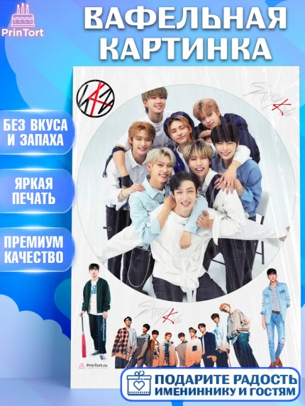 Вафельная картинка, Стрей Кидс, Stray Kids, Девочка, День рождения, арт. PT209180