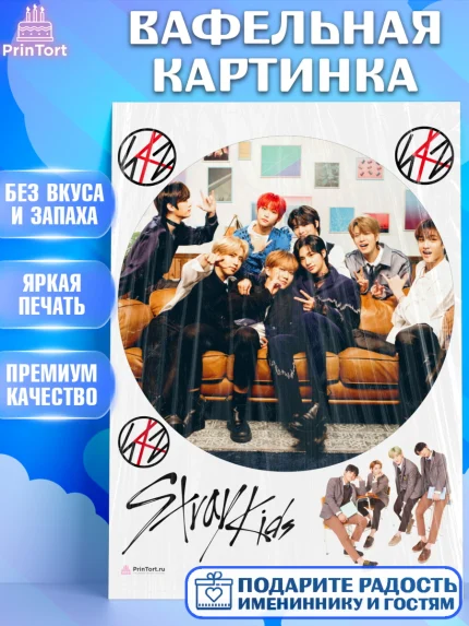 Вафельная картинка, Стрей Кидс, Stray Kids, Девочка, День рождения, арт. PT209181