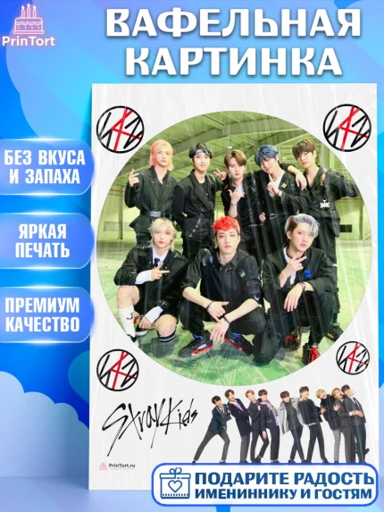 Вафельная картинка, Стрей Кидс, Stray Kids, Девочка, День рождения, арт. PT209182
