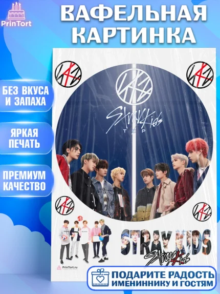 Вафельная картинка, Стрей Кидс, Stray Kids, Девочка, День рождения, арт. PT209184