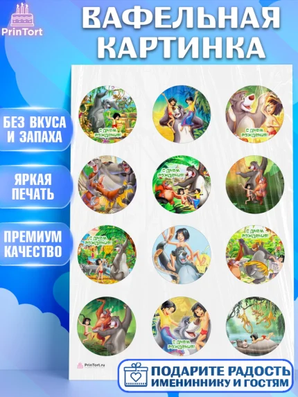 Вафельная картинка, Маугли, Девочка, День рождения, арт. PT209320