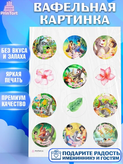 Вафельная картинка, Маугли, Девочка, День рождения, арт. PT209324