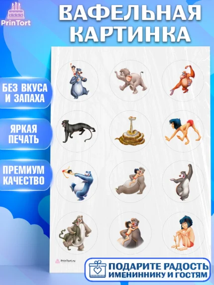 Вафельная картинка, Маугли, Девочка, День рождения, арт. PT209329