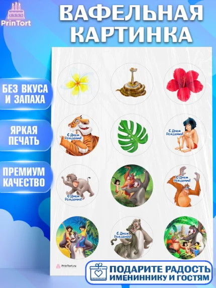 Вафельная картинка, Маугли, Девочка, День рождения, арт. PT209332