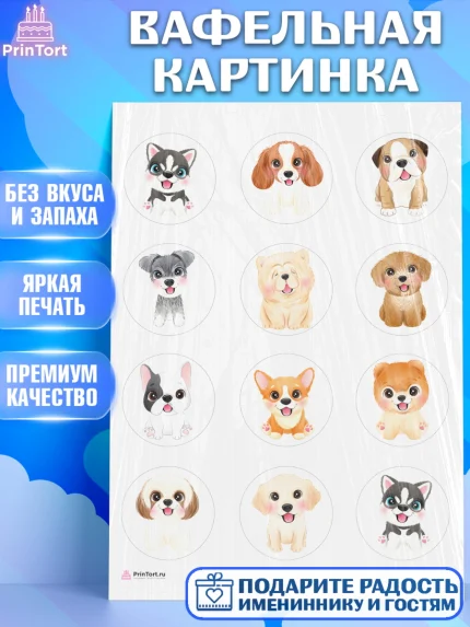Вафельная картинка, Собаки, Питомец, Девочка, День рождения, арт. PT209405