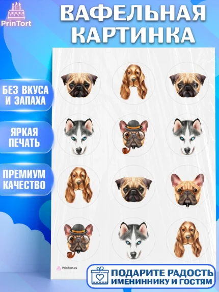Вафельная картинка, Собаки, Питомец, Девочка, День рождения, арт. PT209412