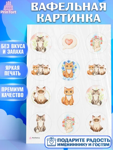 Вафельная картинка, Кошки, Питомец, Девочка, День рождения, арт. PT209429