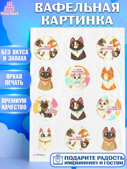 Вафельная картинка, Кошки, Питомец, Девочка, День рождения, арт. PT209432