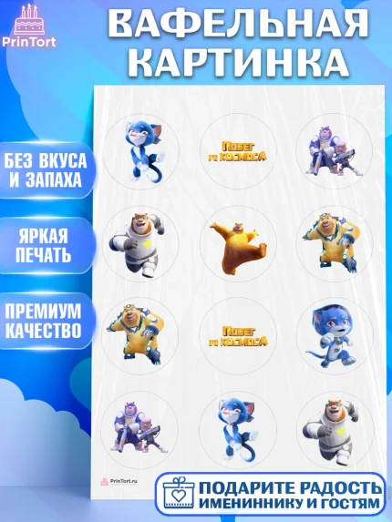 Вафельная картинка, Побег из космоса, Девочка, День рождения, арт. PT209539