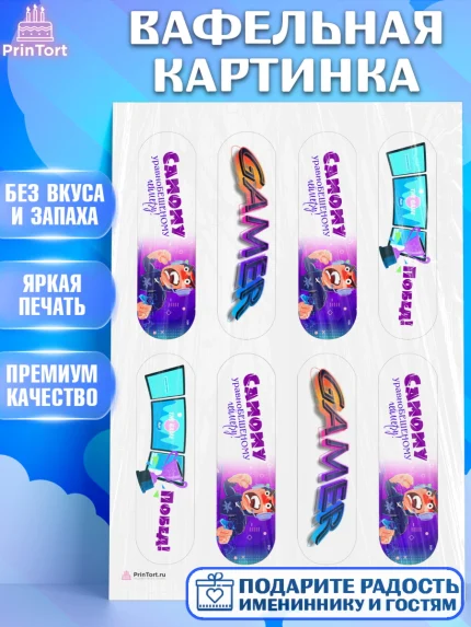 Вафельная картинка, Геймер, Киберспорт, Мальчик, День рождения, арт. PT209609