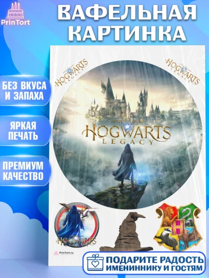 Вафельная картинка, Гарри Поттер, Хогвартс Легаси, Девочка, День рождения, арт. PT209667