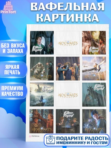 Вафельная картинка, Гарри Поттер, Хогвартс Легаси, Девочка, День рождения, арт. PT209670