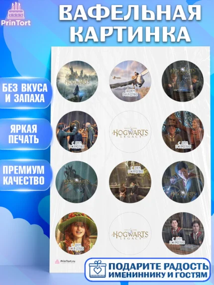 Вафельная картинка, Гарри Поттер, Хогвартс Легаси, Девочка, День рождения, арт. PT209671