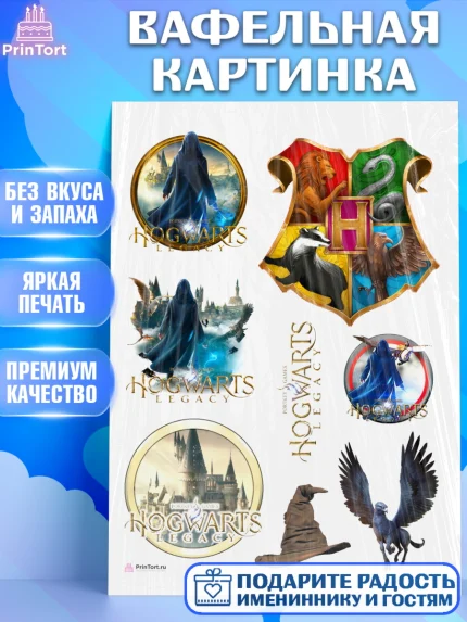 Вафельная картинка, Гарри Поттер, Хогвартс Легаси, Девочка, День рождения, арт. PT209672